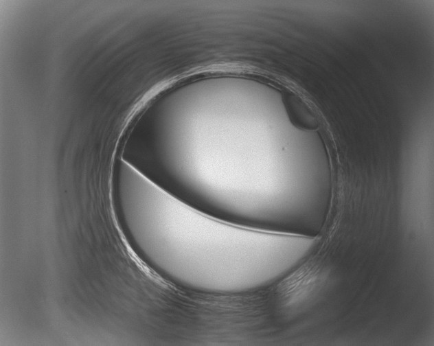 X0000086041237200703230845