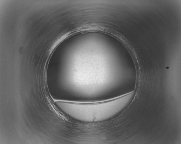 X0000086041242200703230846