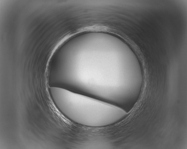 X0000086041248200703230846