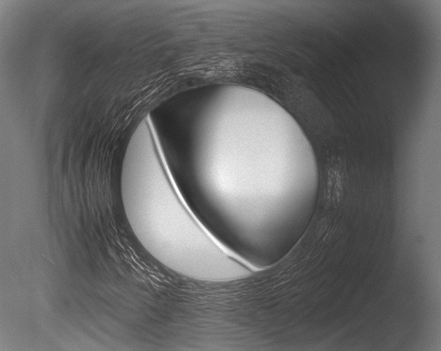X0000086041250200703230845