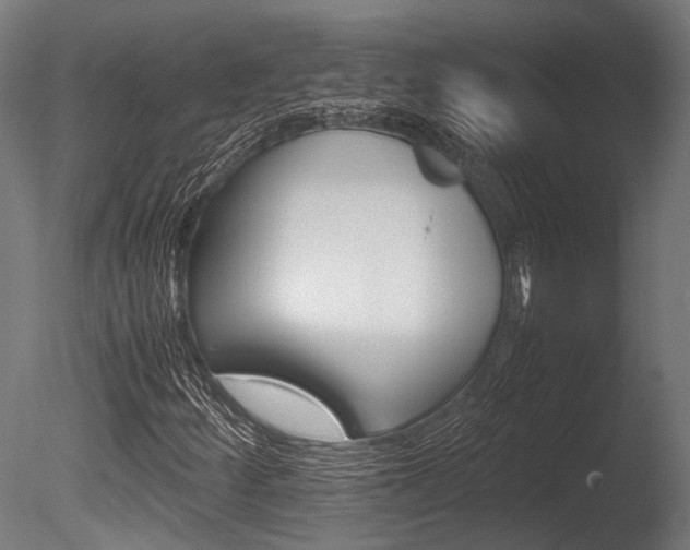 X0000086041252200703230845