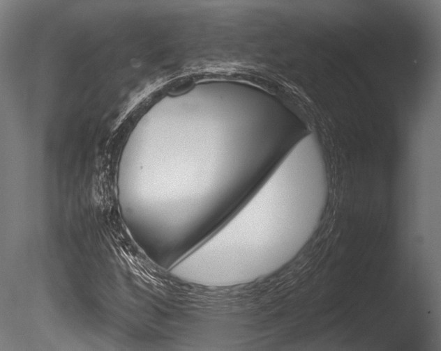 X0000086041256200703230845