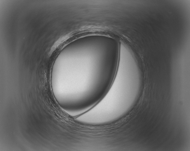X0000086041261200703230845