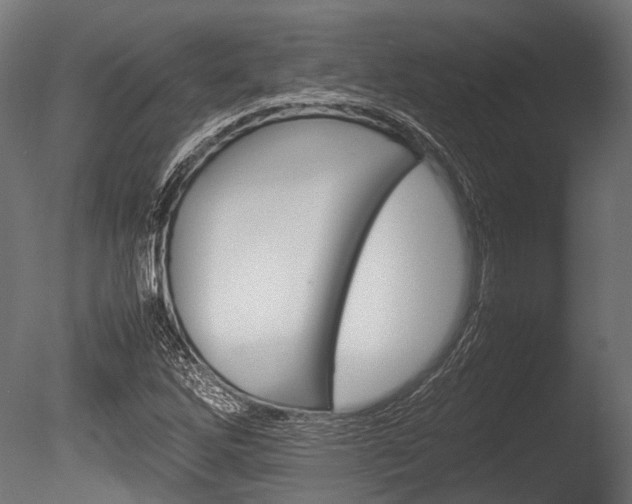 X0000086041262200703230845