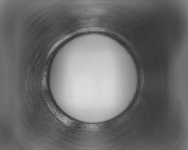 X0000086041266200703230845
