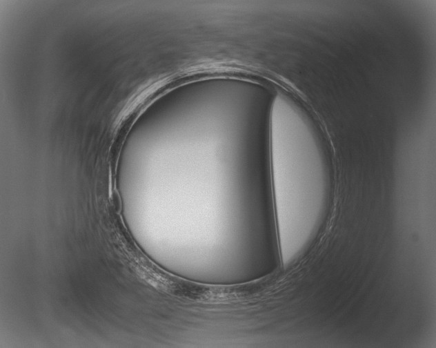 X0000086041269200703230844
