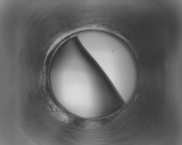 X0000086041270200703230844