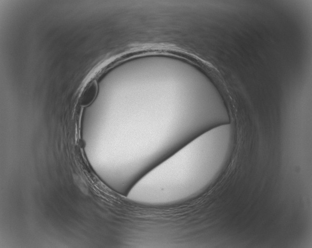 X0000086041271200703230844
