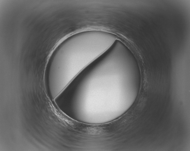 X0000086041272200703230844
