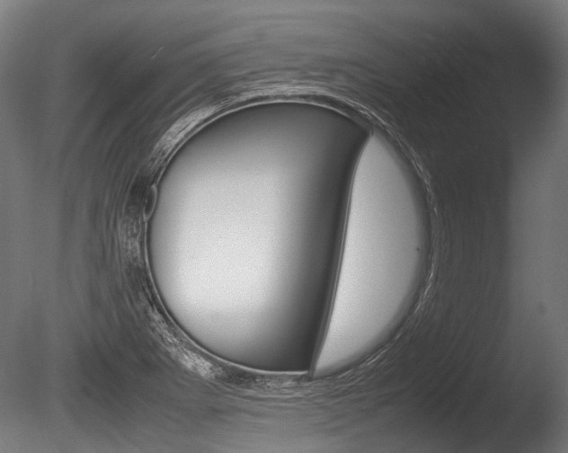 X0000086041273200703230844