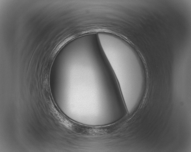 X0000086041281200703230844