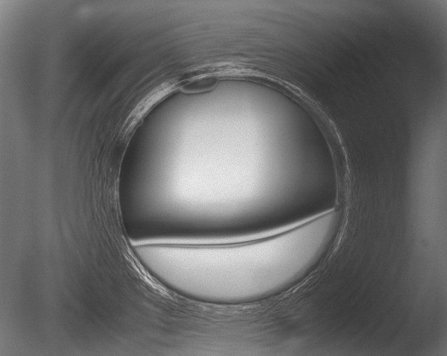 X0000086041289200703230844