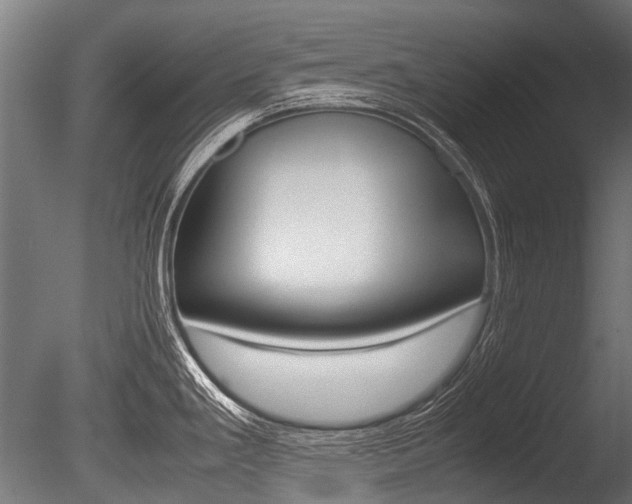 X0000086041293200703230844