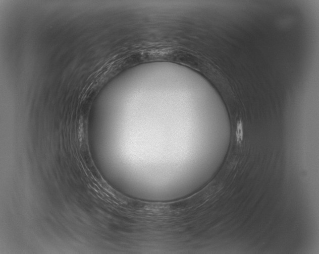 X0000086041299200703230843