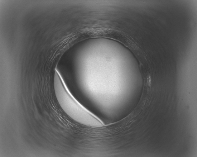 X0000086041300200703230843