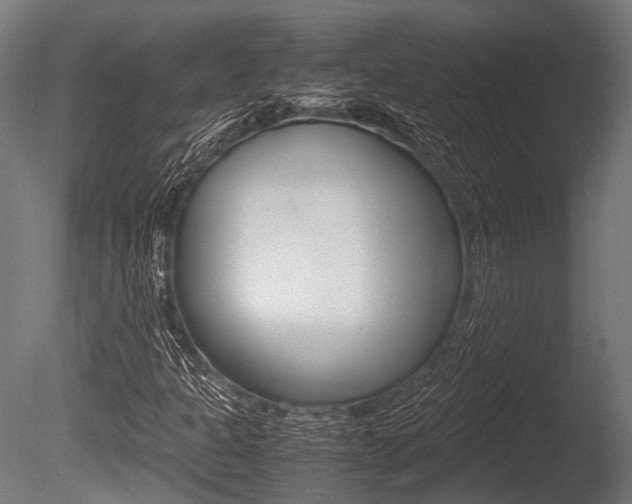 X0000086041301200703230843
