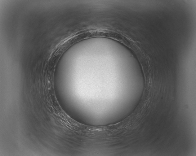 X0000086041303200703230843