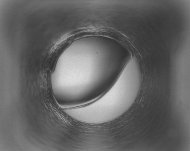 X0000086041304200703230843