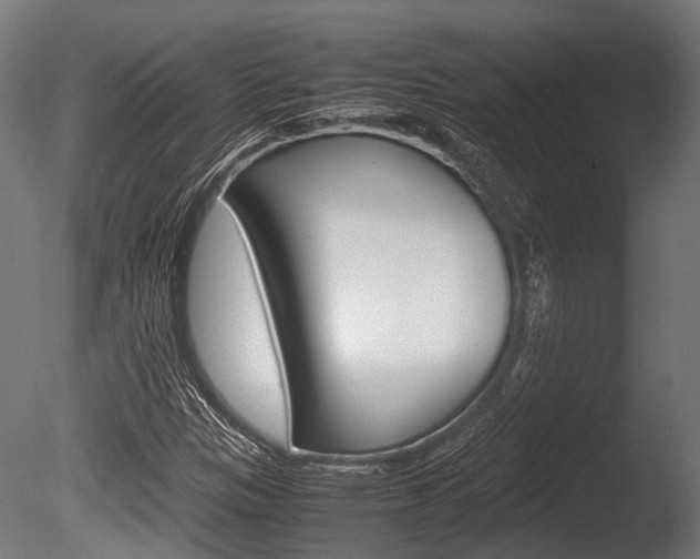X0000086041305200703230843