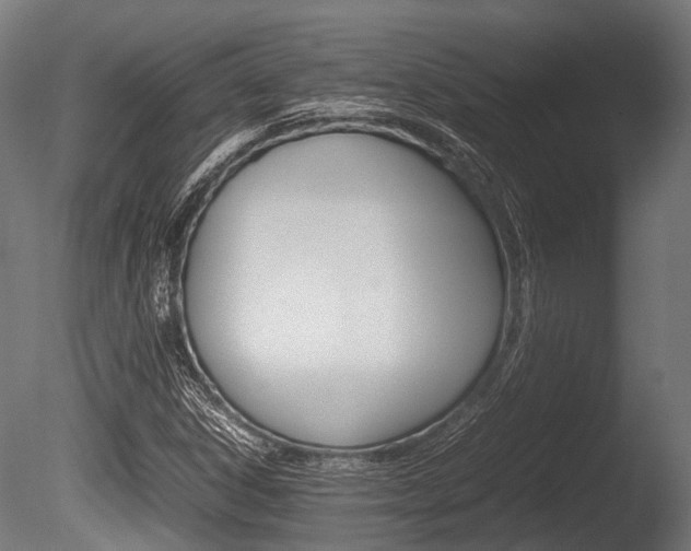 X0000086041306200703230843