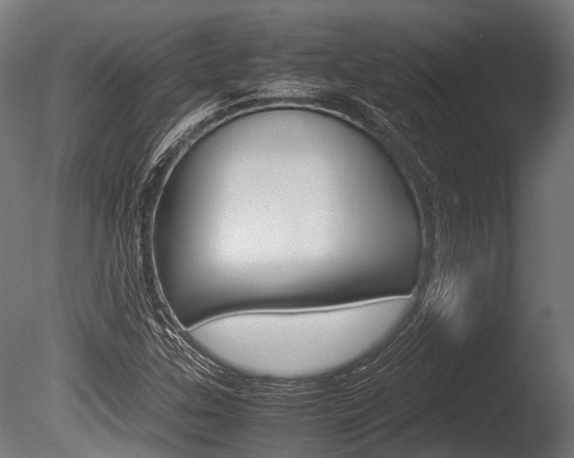X0000086041307200703230843