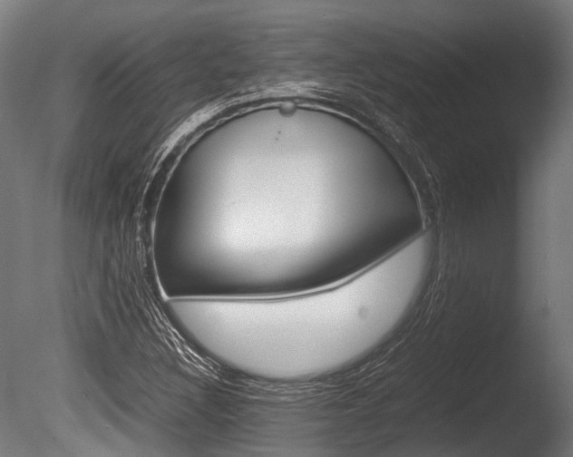 X0000086041308200703230843