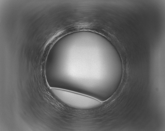 X0000086041309200703230843