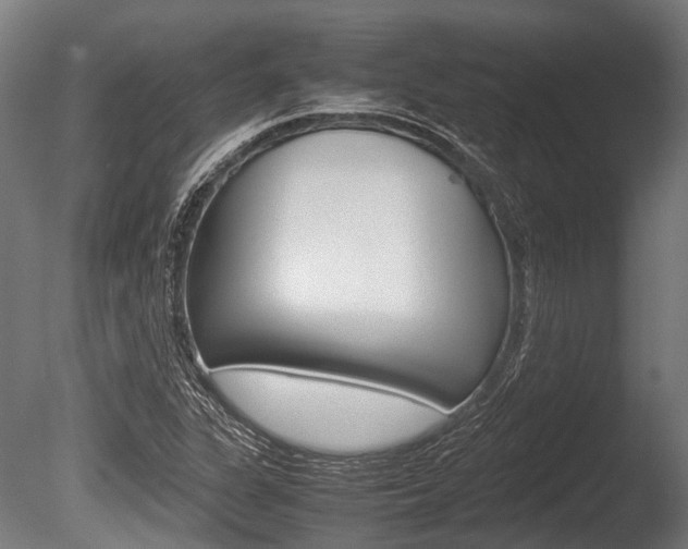 X0000086041311200703230843