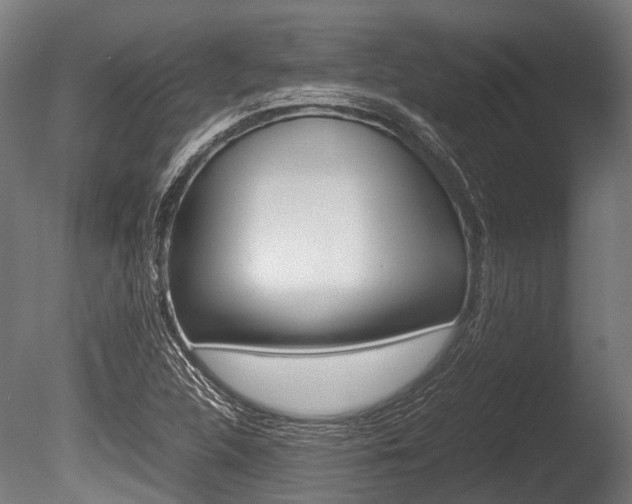 X0000086041312200703230843