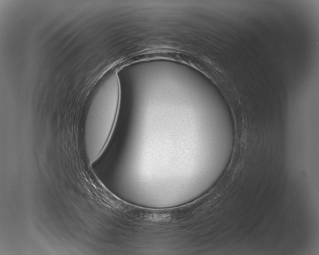 X0000086041313200703230843