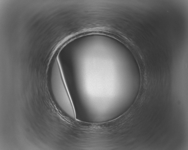 X0000086041316200703230844