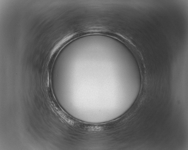 X0000086041317200703230844