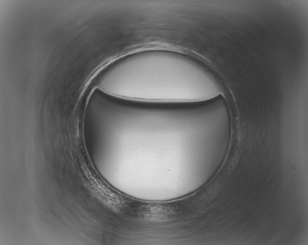 X0000086041318200703230844