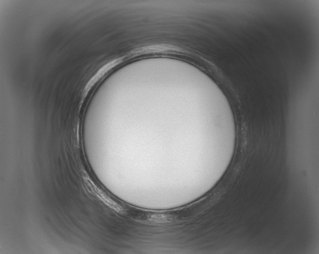 X0000086041322200703230844