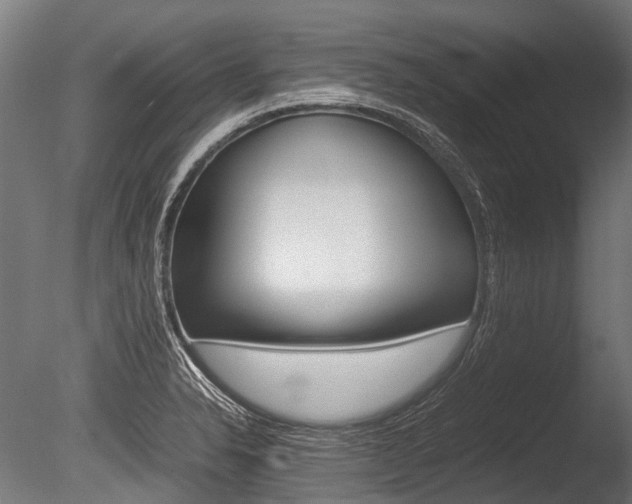 X0000086041326200703230844