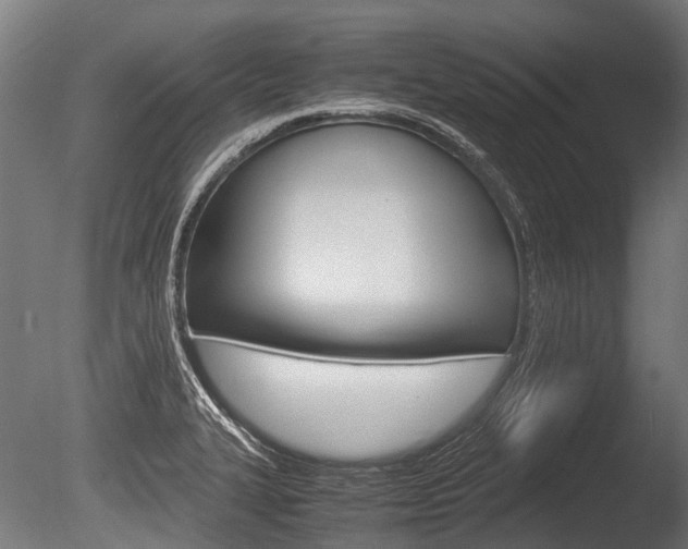 X0000086041327200703230844