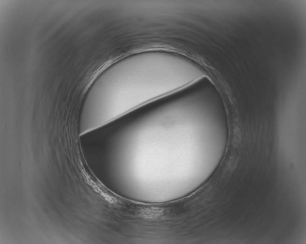 X0000086041329200703230844