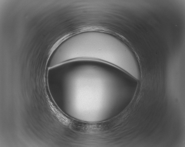 X0000086041330200703230844