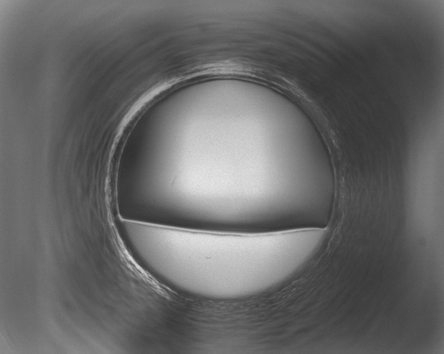 X0000086041331200703230844
