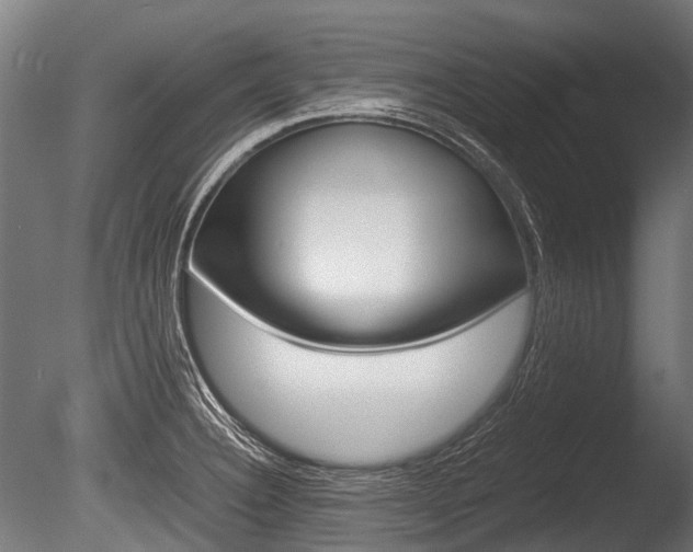 X0000086041332200703230844
