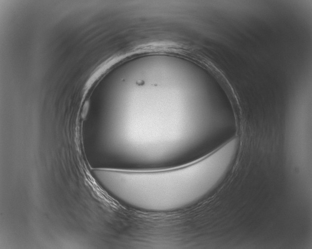 X0000086041336200703230844