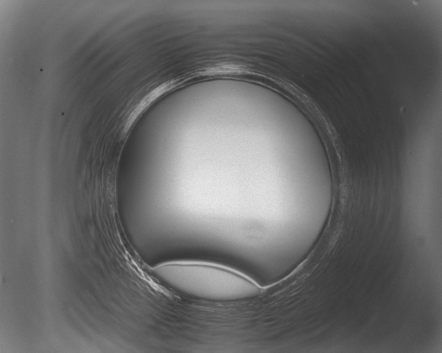 X0000086041337200703230844