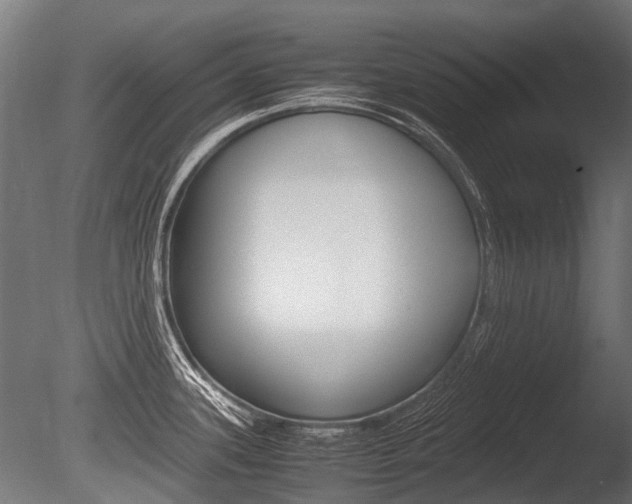 X0000086041339200703230844