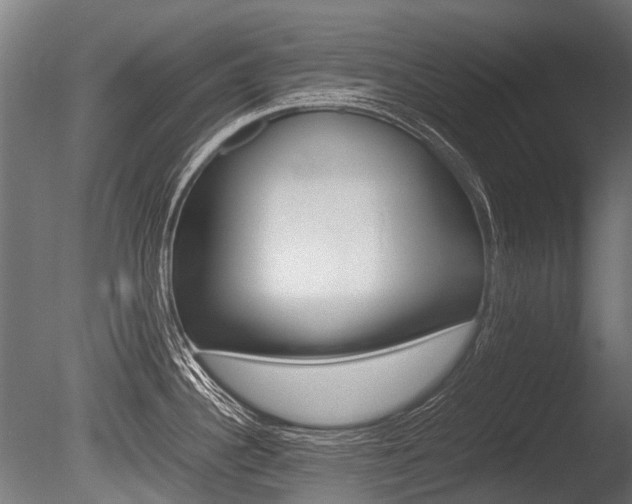X0000086041340200703230844