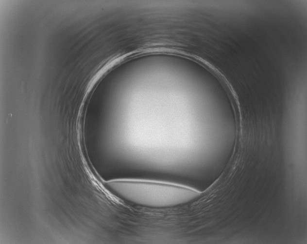 X0000086041341200703230844