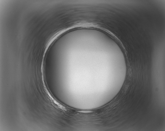 X0000086041343200703230844