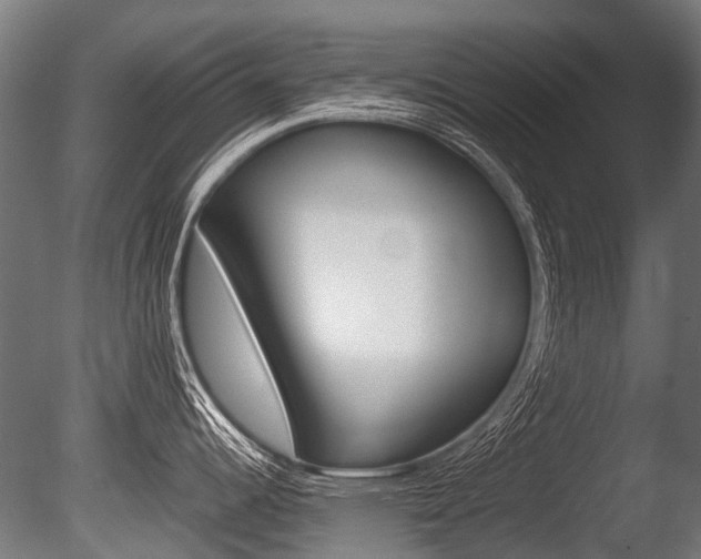 X0000086041344200703230844
