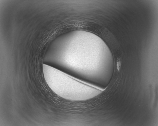 X0000086041347200703230843