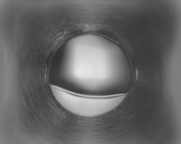 X0000086041348200703230843