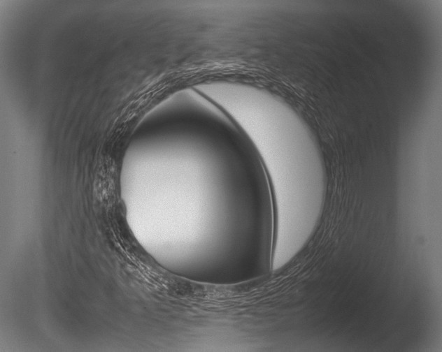 X0000086041349200703230843